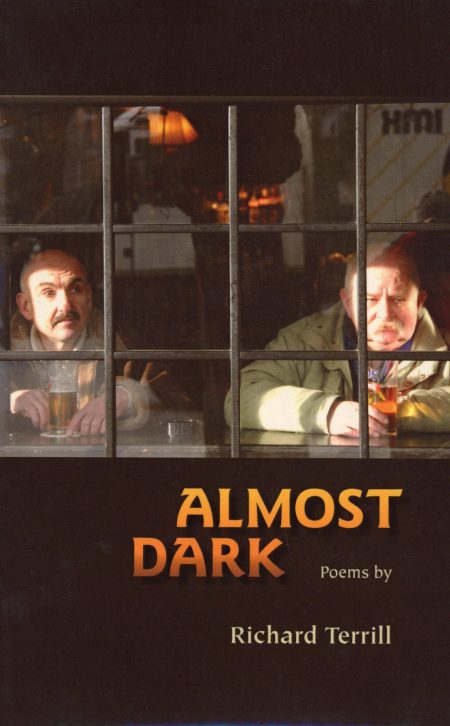 Image of the front cover of Almost Dark.