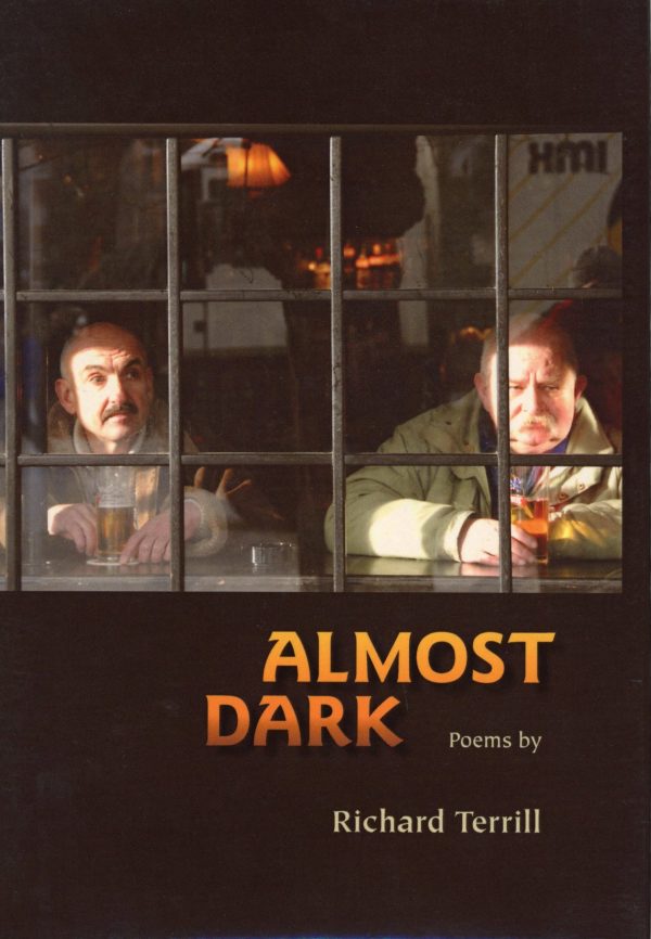 Image of the front cover of Almost Dark.