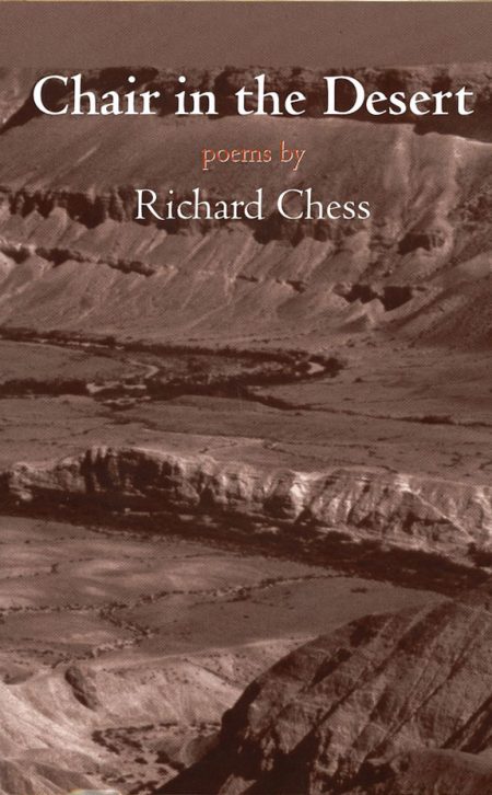 Image of the front cover of Chair in the Desert.