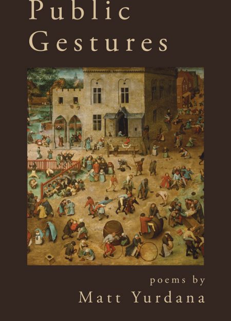 Image of the front cover of Public Gestures.