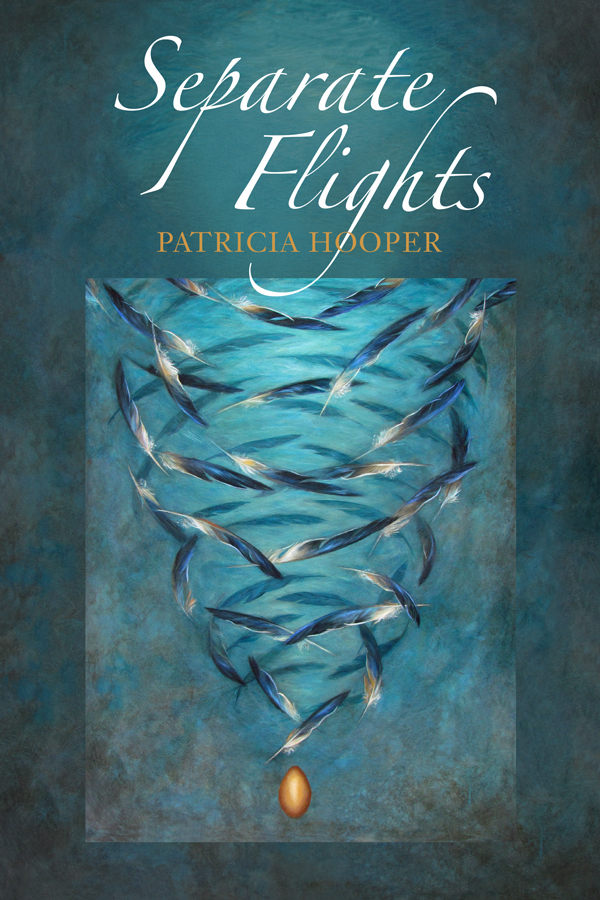 Image of the front cover of Separate Flights.