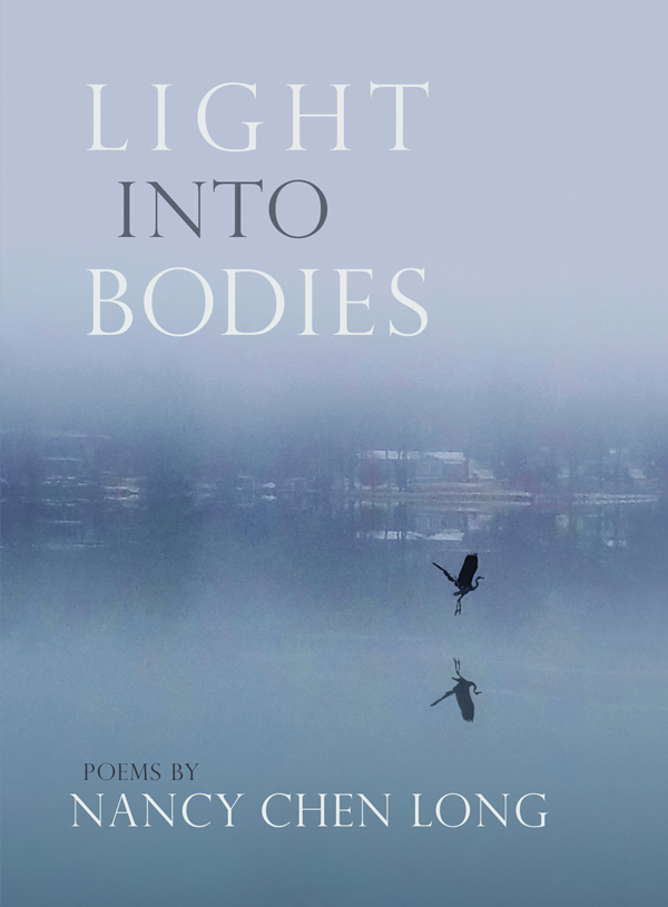 Image of the front cover of Light into Bodies.