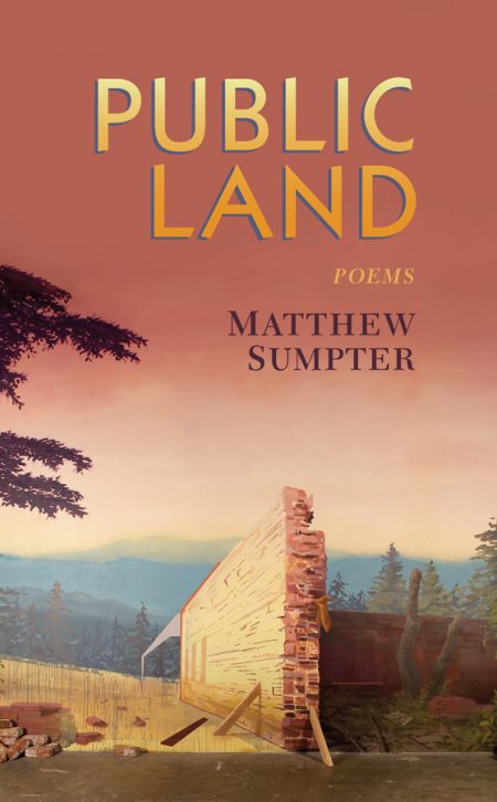 Image of the front cover of Public Land.