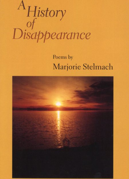 Image of the front cover of A History of Disappearance.