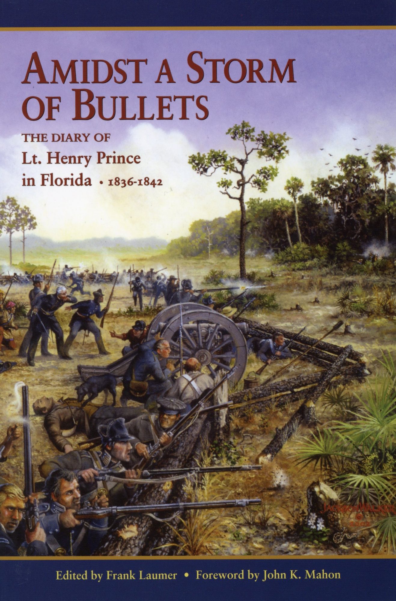 An image of the front cover of the book, Amidst a Storm of Bullets.