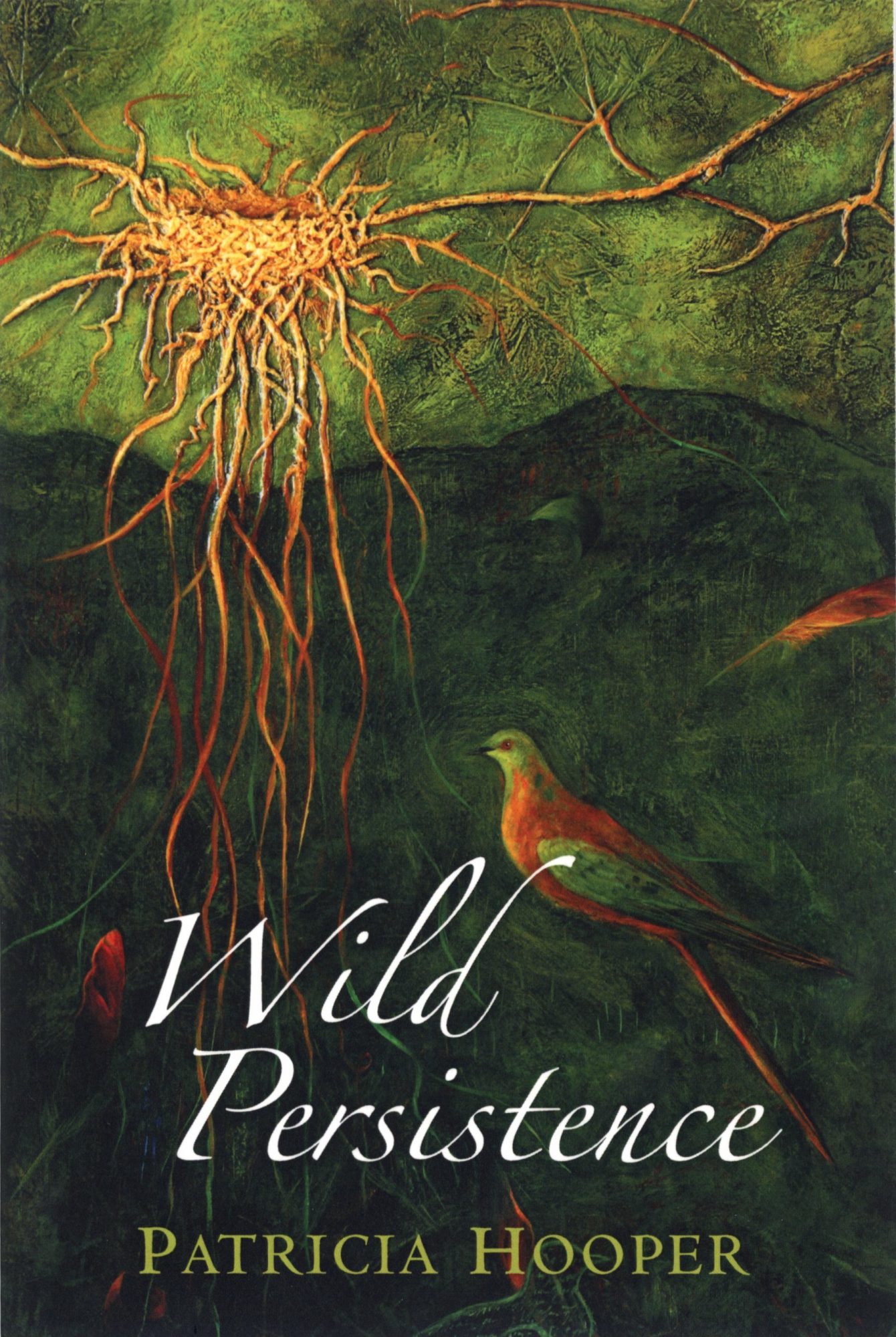 Image of the front cover of Wild Persistence.