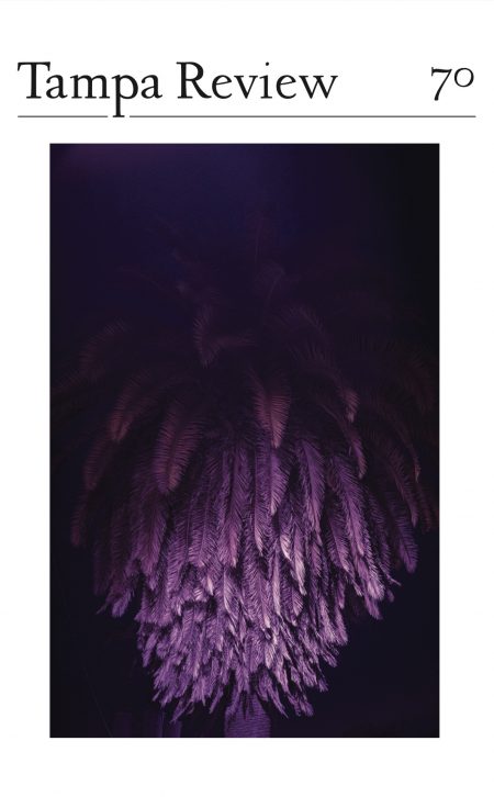 Tampa Review 70 cover