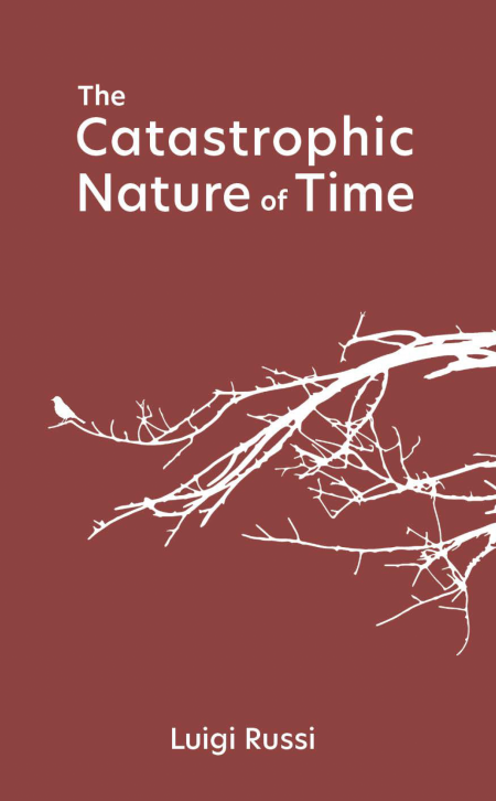 Catastrophic Nature of Time cover