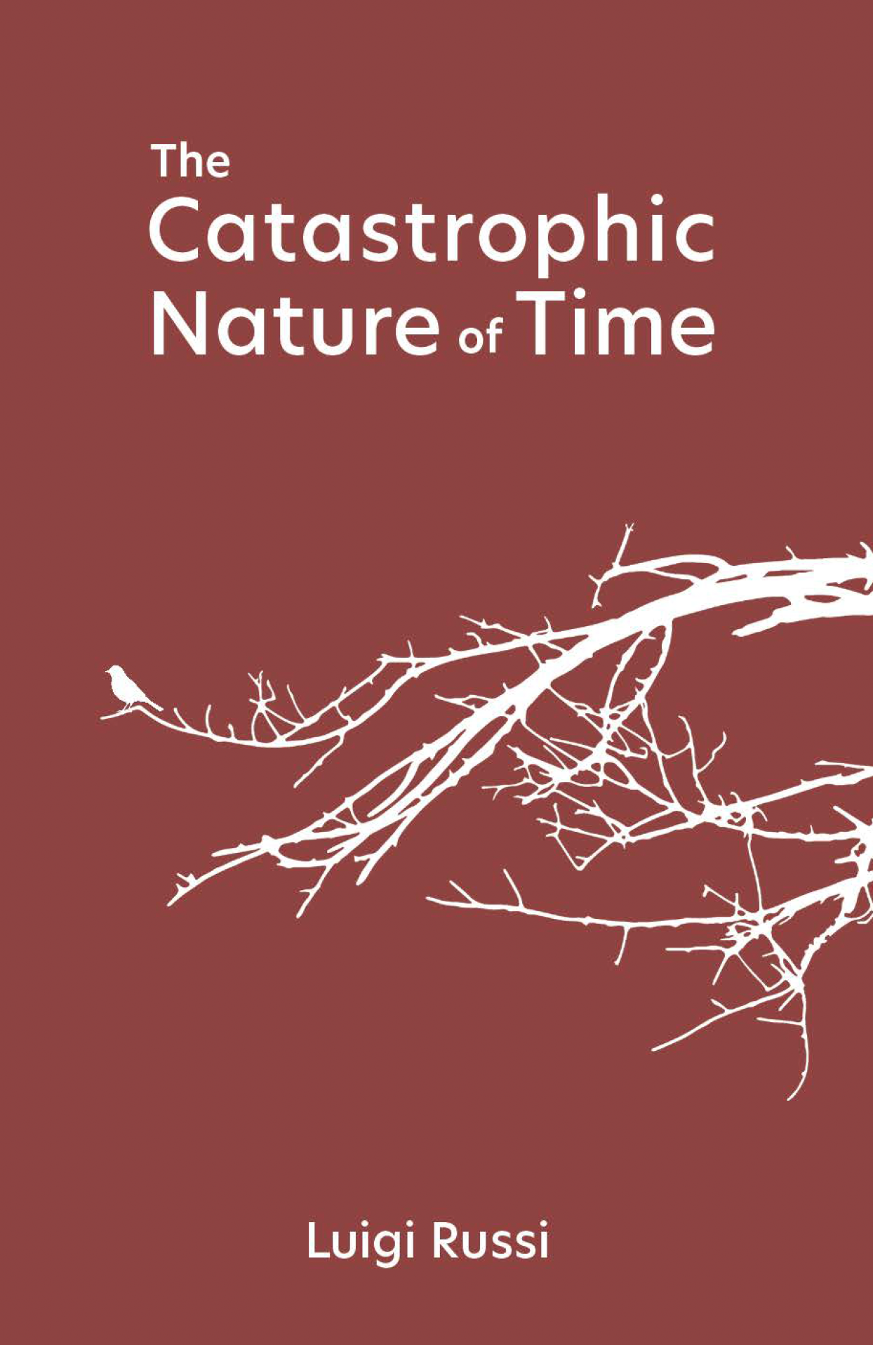 Catastrophic Nature of Time cover