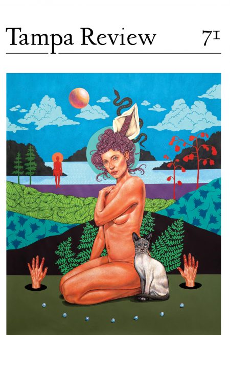 cover of Tampa Review 71